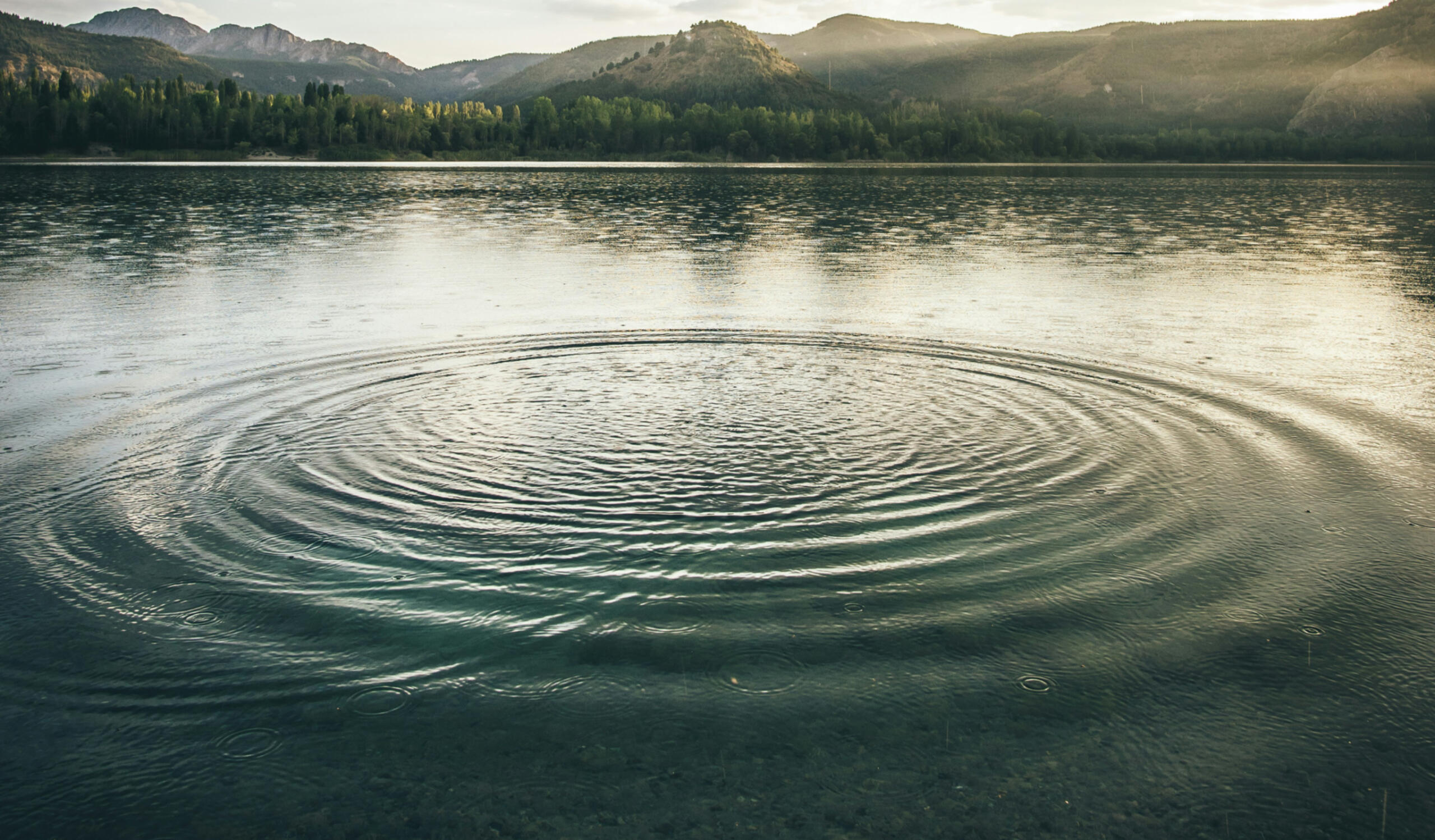 Healing waves Ripples in pond
