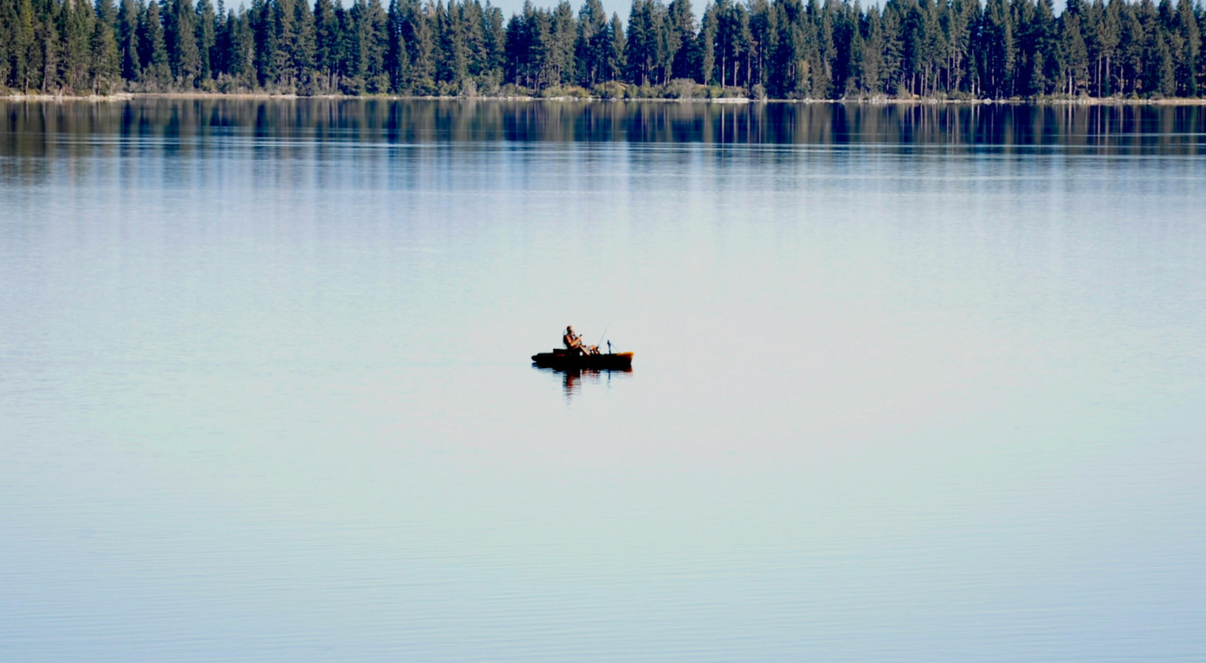 Healing waves Ripples in pond